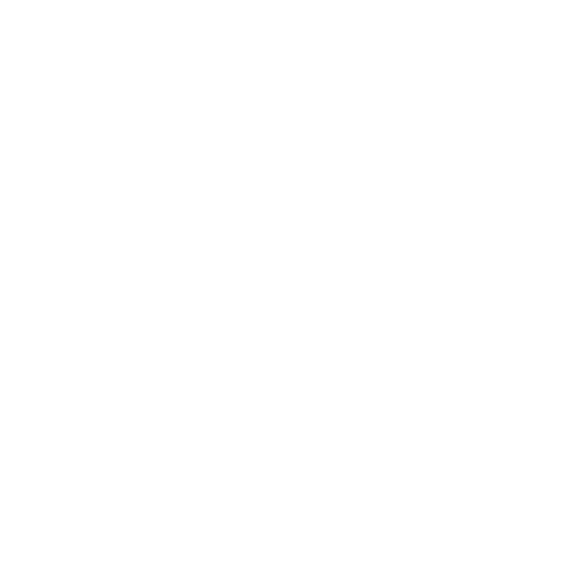 We Provide